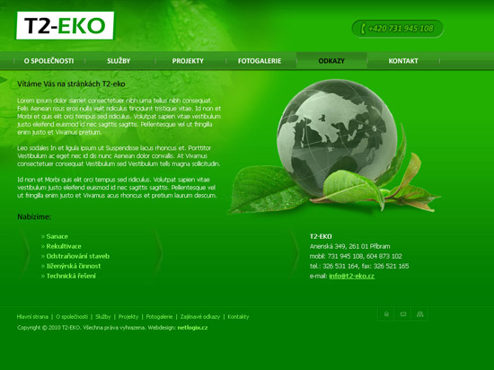 T2 - EKO